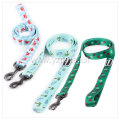 Colorful Dog Leash